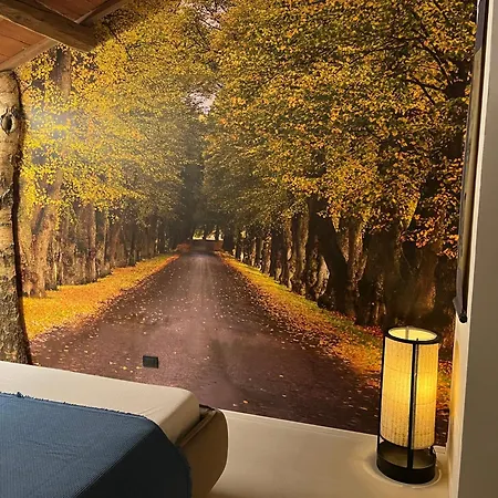 Apartament Contessa Massari *