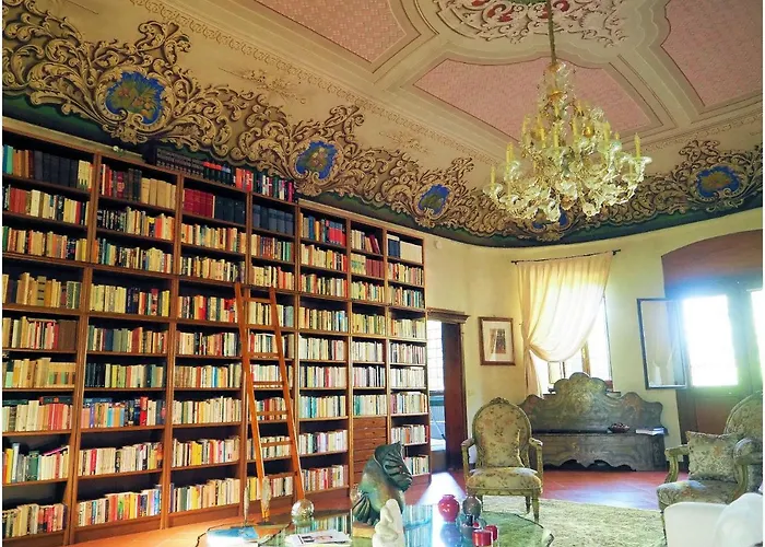 Contessa Massari * 费拉拉