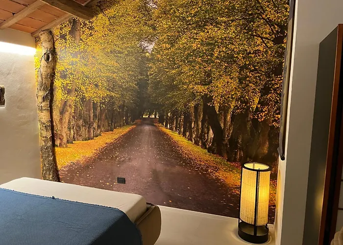 Appartamento Contessa Massari *